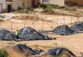 Labores de limpieza y descontaminaci�n en parcela de Los Mateos. Junio, 2026.