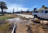 Control de plagas. A�o 2026.