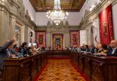 Pleno Municipal
